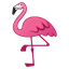 🦩 flamingo display on Github