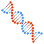 🧬 dna display on Github