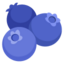 🫐 blueberries display on Github