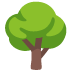 🌳 deciduous tree display on Google