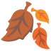 🍂 fallen leaf display on Google