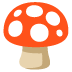 🍄 mushroom display on Google