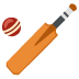 🏏 cricket game display on Google