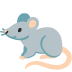 🐀 rat display on Google