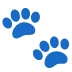 🐾 paw prints display on Google