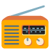 📻 radio display on Google