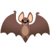 🦇 bat display on Google