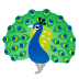 🦚 peacock display on Google