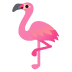 🦩 flamingo display on Google