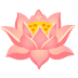 🪷 lotus display on Google