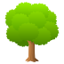 🌳 deciduous tree display on JoyPixels