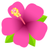 🌺 hibiscus display on JoyPixels