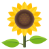 🌻 sunflower display on JoyPixels