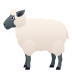 🐑 ewe display on JoyPixels