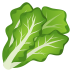 🥬 leafy green display on JoyPixels