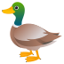 🦆 duck display on JoyPixels