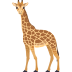 🦒 giraffe display on JoyPixels