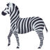 🦓 zebra display on JoyPixels