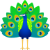 🦚 peacock display on JoyPixels