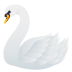 🦢 swan display on JoyPixels