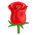 🌹 rose display on Samsung