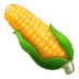 🌽 ear of corn display on Samsung