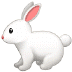 🐇 rabbit display on Samsung