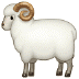 🐏 ram display on Samsung