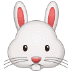 🐰 rabbit face display on Samsung