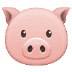 🐷 pig face display on Samsung