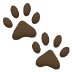 🐾 paw prints display on Samsung