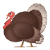 🦃 turkey display on Samsung