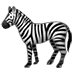 🦓 zebra display on Samsung