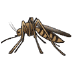 🦟 mosquito display on Samsung