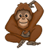 🦧 orangutan display on Samsung