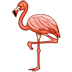 🦩 flamingo display on Samsung