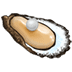 🦪 oyster display on Samsung