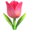 🌷 tulip display on Slack