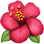 🌺 hibiscus display on Slack