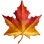 🍁 maple leaf display on Slack