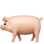 🐖 pig display on Slack