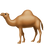 🐪 camel display on Slack