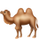 🐫 two-hump camel display on Slack