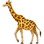 🦒 giraffe display on Slack