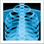 🩻 x-ray display on Slack