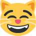 😸 grinning cat with smiling eyes display on Twitter