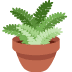 🪴 potted plant display on Twitter